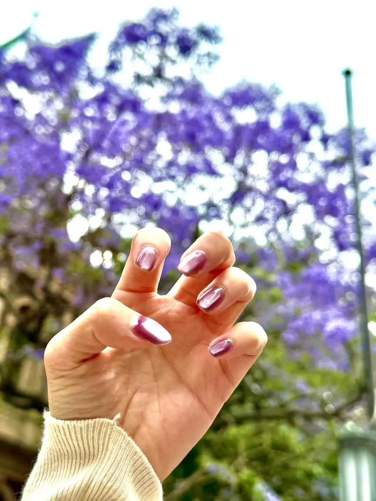 Cat-eye gel manicure swatch on hand